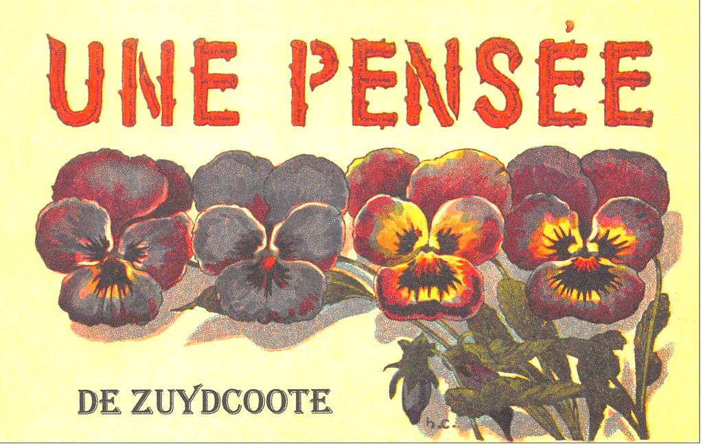 (27) Zuydcoote Cartes Postales Anciennes 