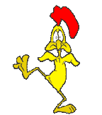 Divers Photos Yann Arthus-Bertrand