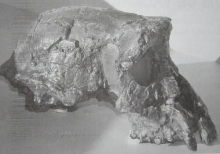 #Société et Education