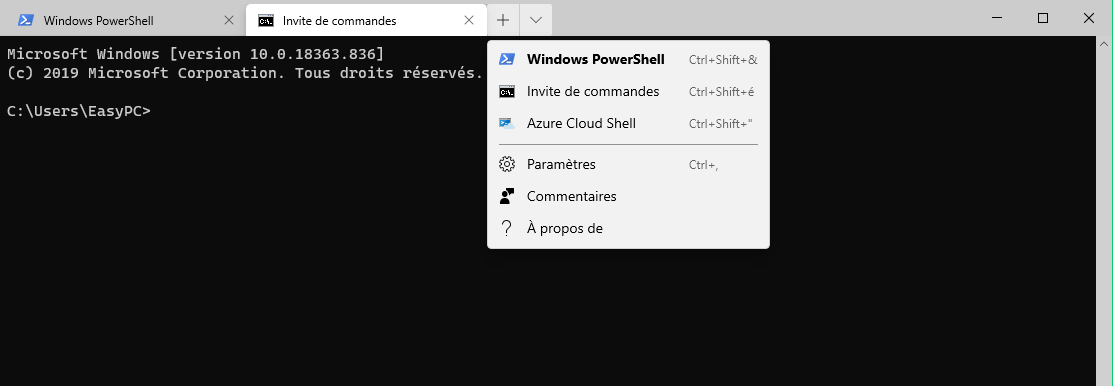 Nouveau Terminal Windows 10 - Système d'onglets