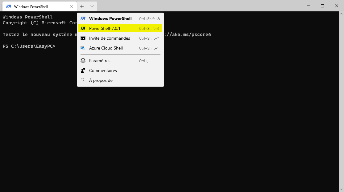Nouveau Terminal Windows 10 - Intégration PowerShell 7.0.1
