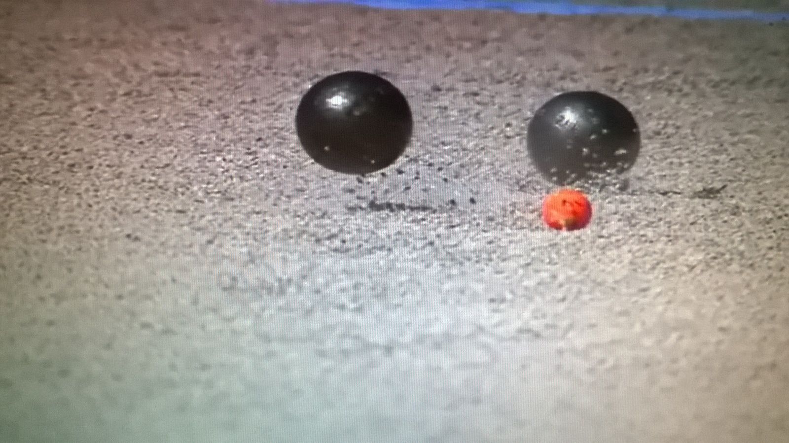 ACTUALITES PETANQUE TARN