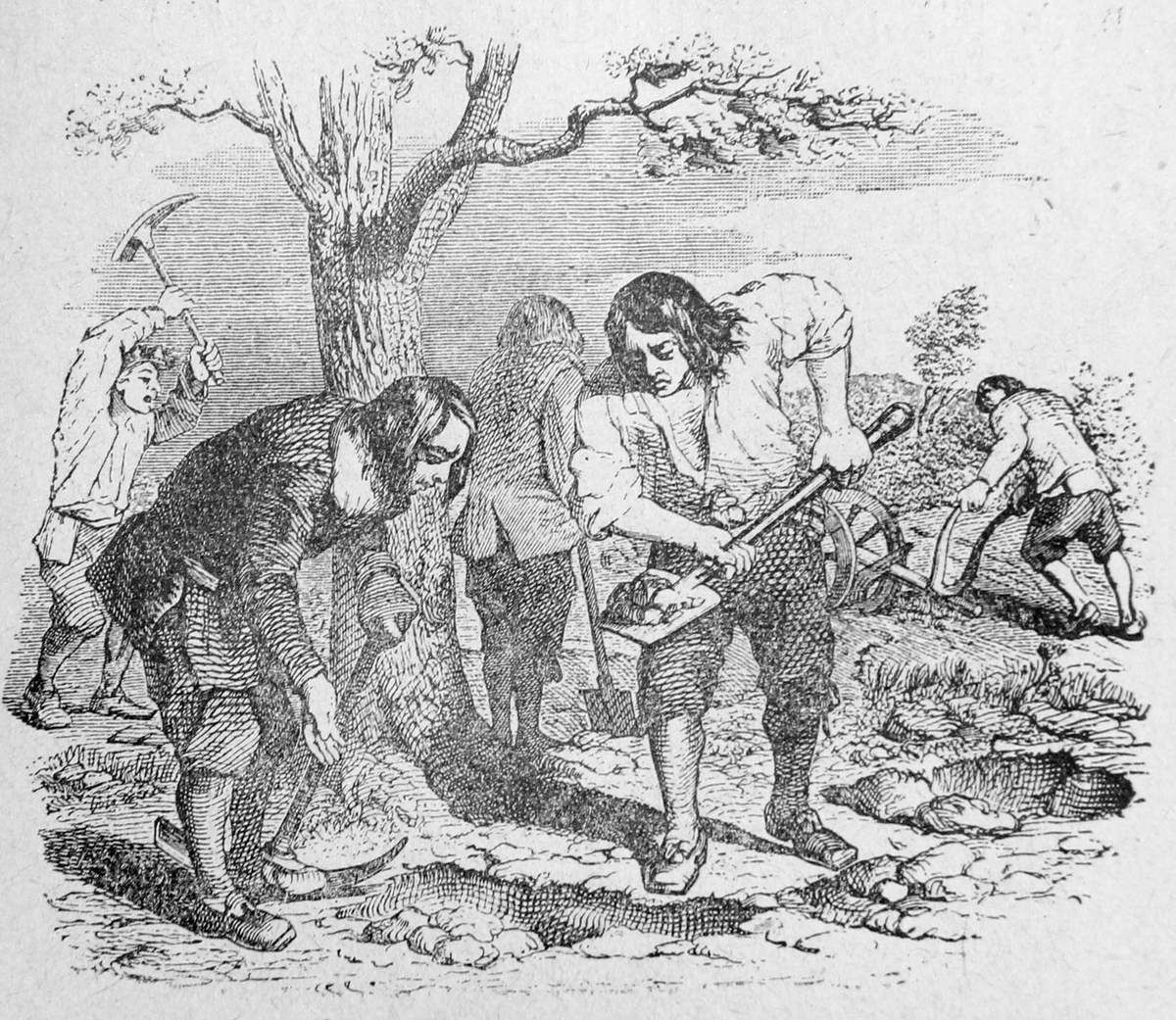 La Fable Le Laboureur Et Ses Fils fable - Le Newscript de Bertrand