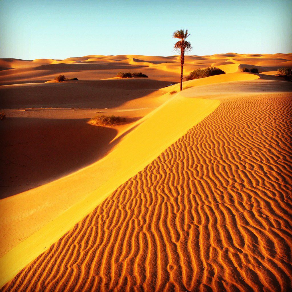 Desert sahara