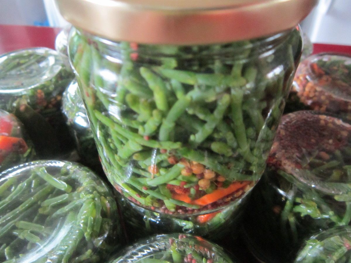 salicorne en condiments 