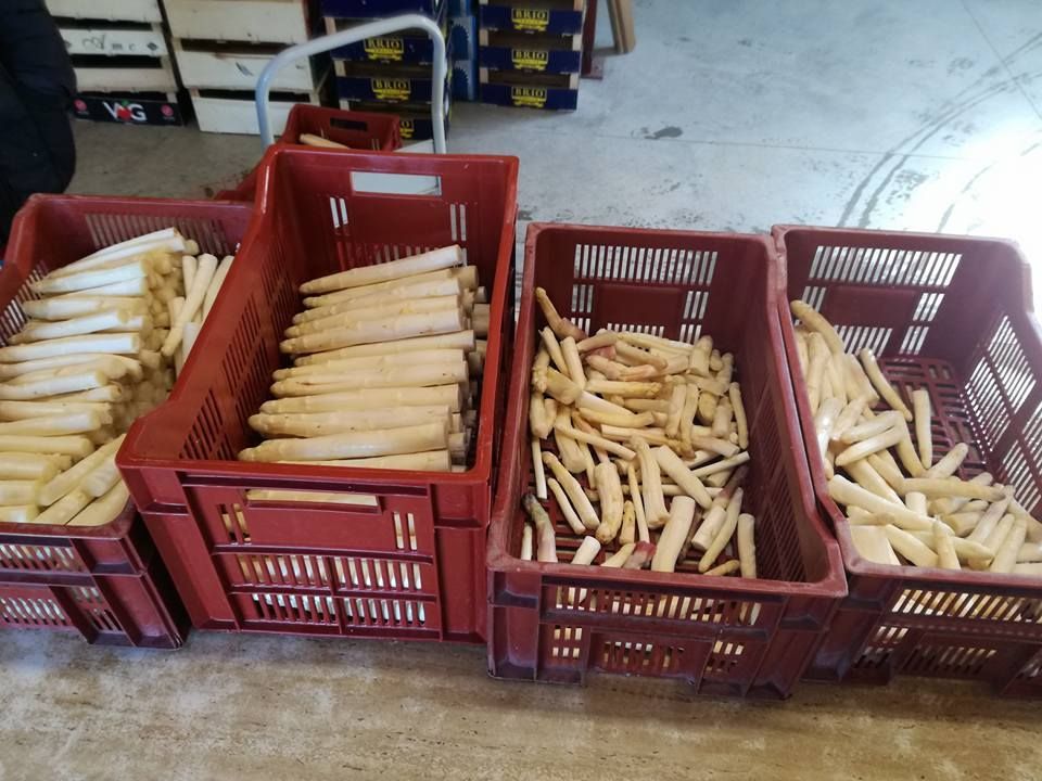 crème d'asperges vertes 