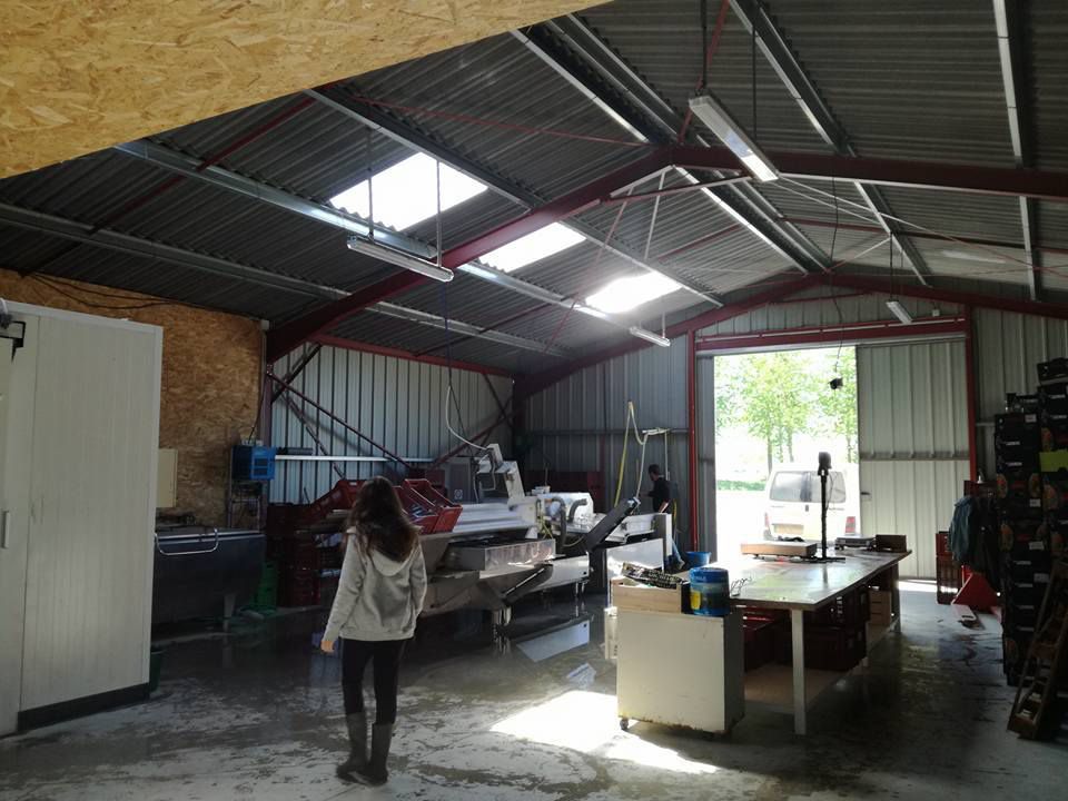 crème d'asperges vertes 