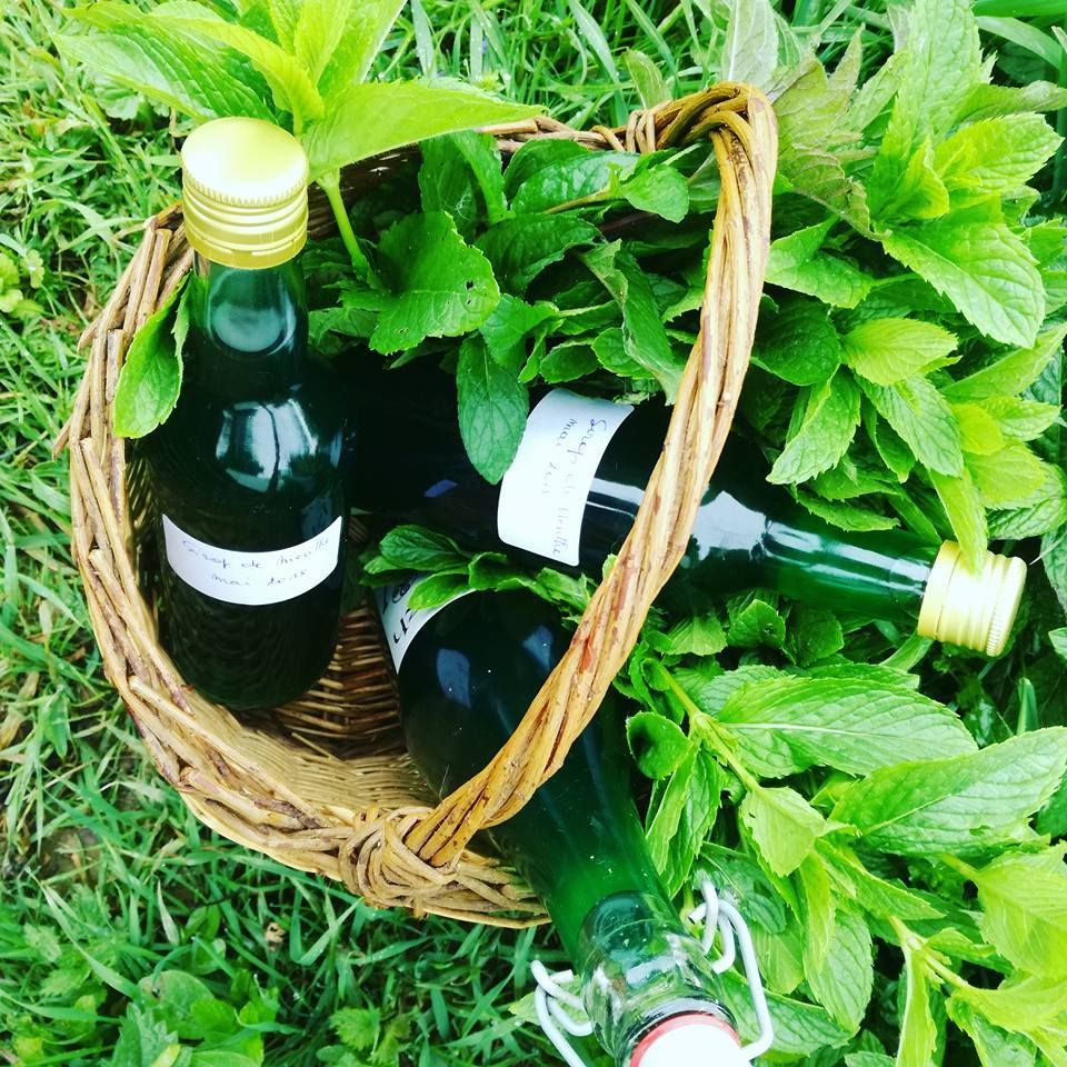 sirop de menthes du jardin  home made