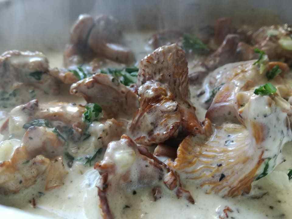 chanterelles a la crème 