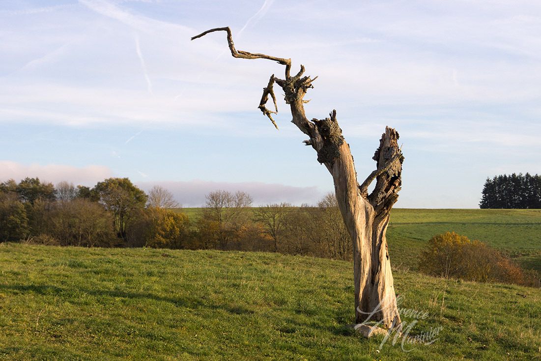 Clic sur le photo pour la voir en grand, clic dans le vide pour revenir au mode normal