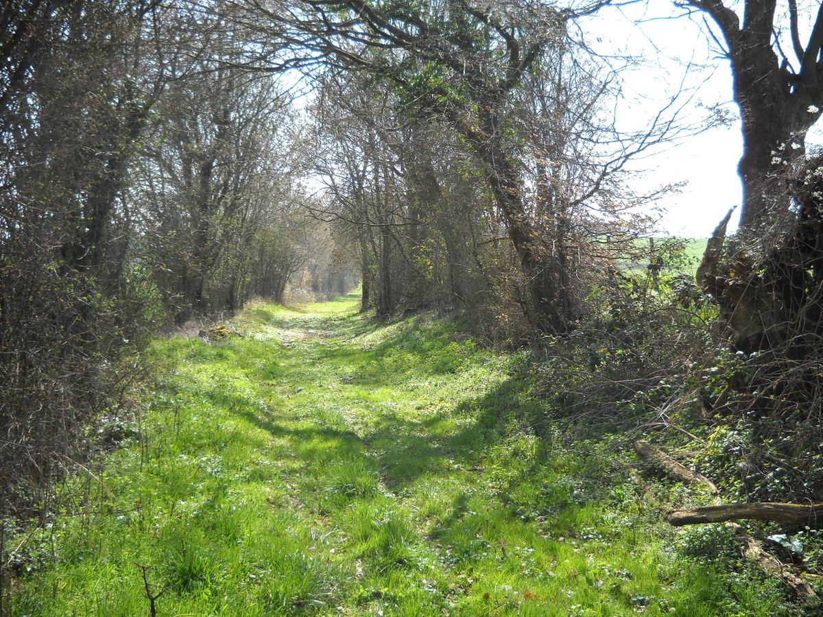 Une "escoursière" est un chemin de traverse. (Ph. B.S.)