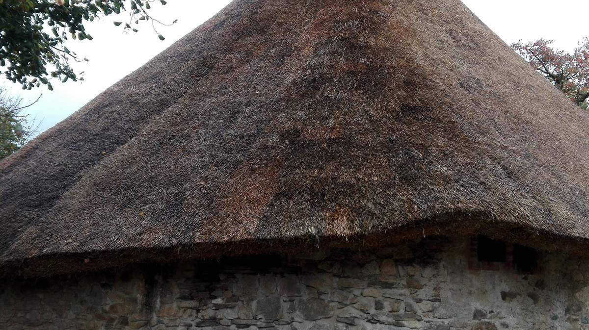 Près de Lubersac, une grange ovalaire retrouve son toit en paille de seigle  - Saint-Éloy-les-Tuileries (19210)