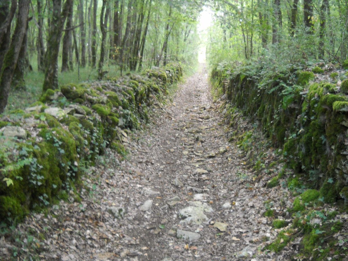 Chemin, randonnée Périgord