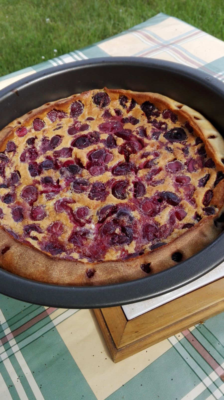 Gastrionomie, clafoutis, cerises, Périgord