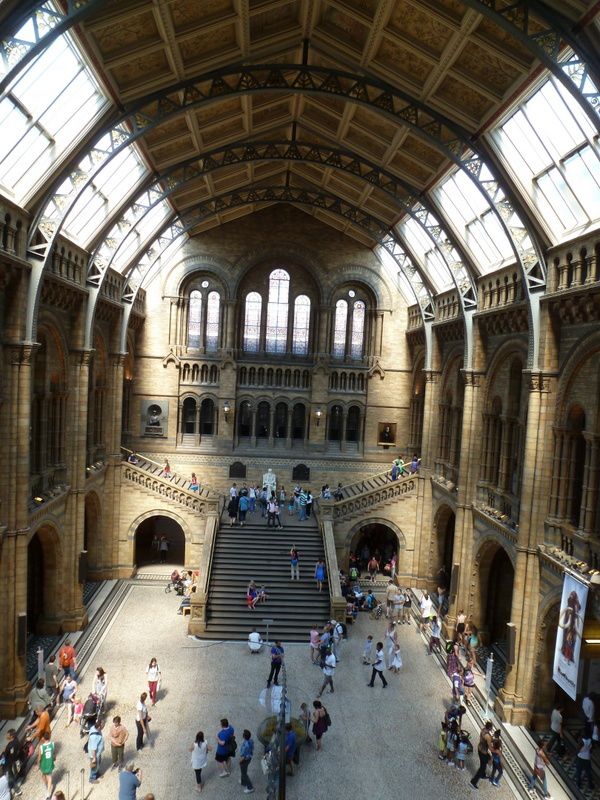 Londres:natural history museum