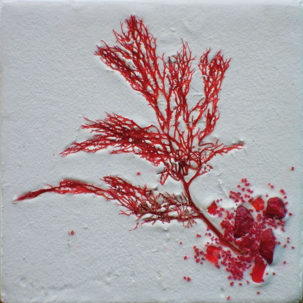 Série "Fleurs d'Abscysses" © Mā Thévenin - Technique mixte - 15x15 cm ou 10x10 cm