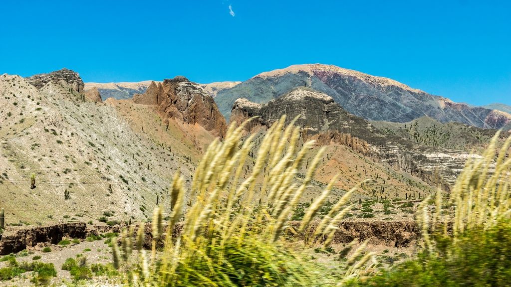 De Tolar Grande à Cachi