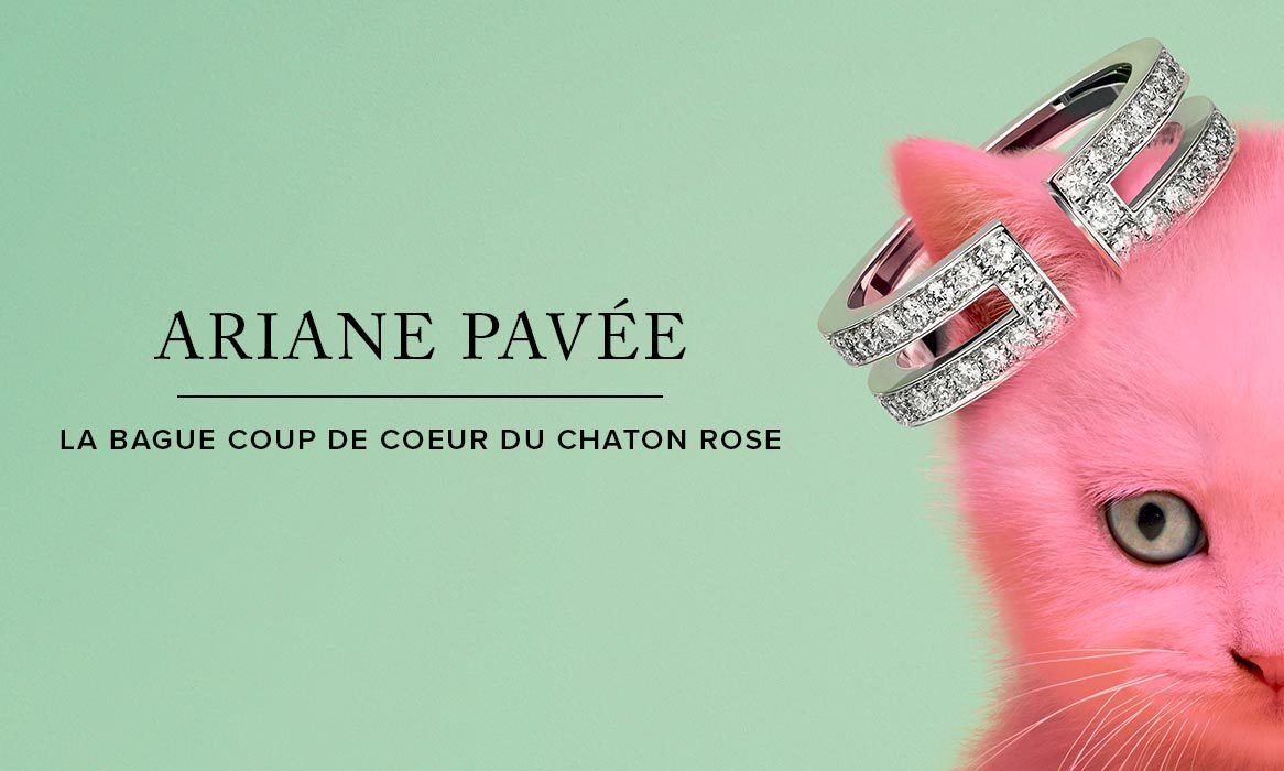 Bonne Saint Valentin Le Blog De Chat Pitre Bonne Saint Valentin Le Blog De Chat Pitre