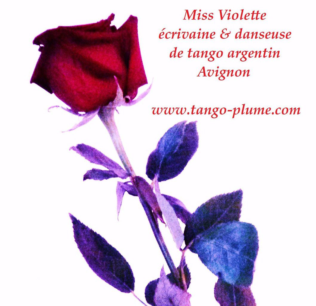 L'énigme d'une rose du tango homme femme Les nuances de l'amour tantrique: pourpre violine rouge orangé