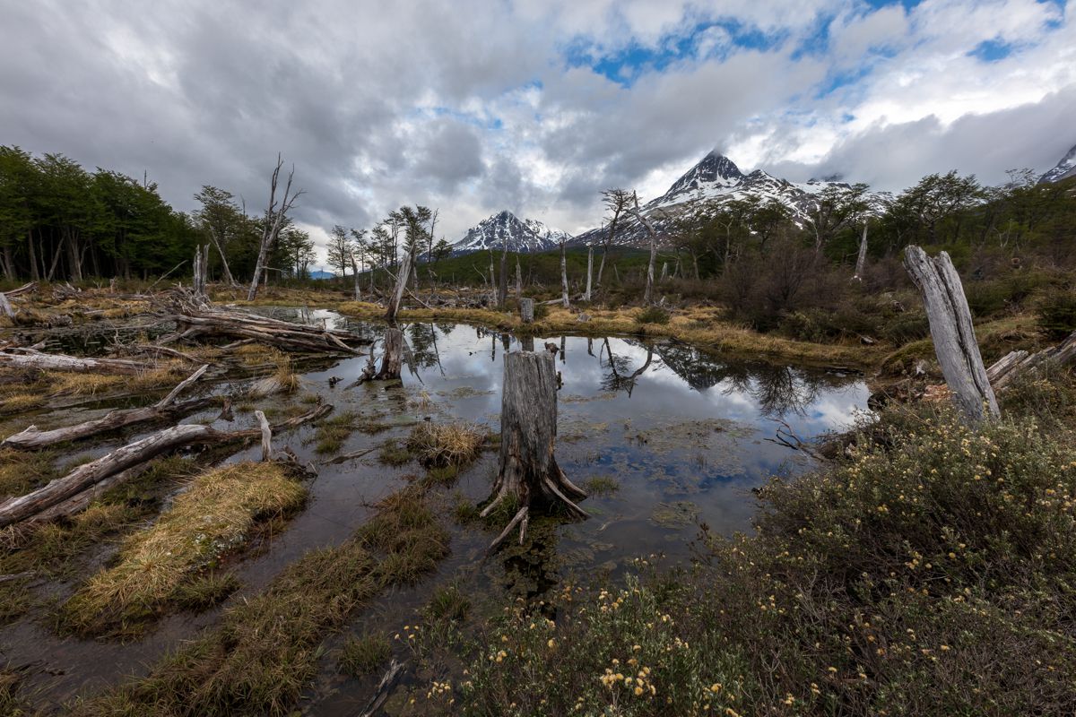 Ushuaia - parc naturel et paysages