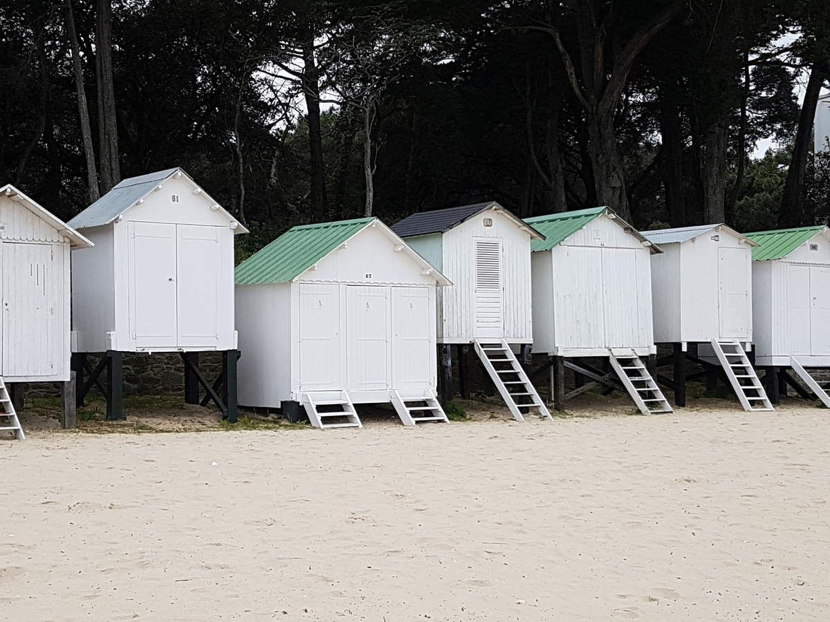 bois de la chaise plage aux dames