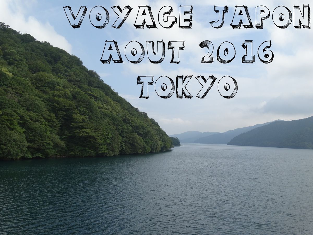 Voyage Japon août 2016 - Mont Fuji - Jour 13