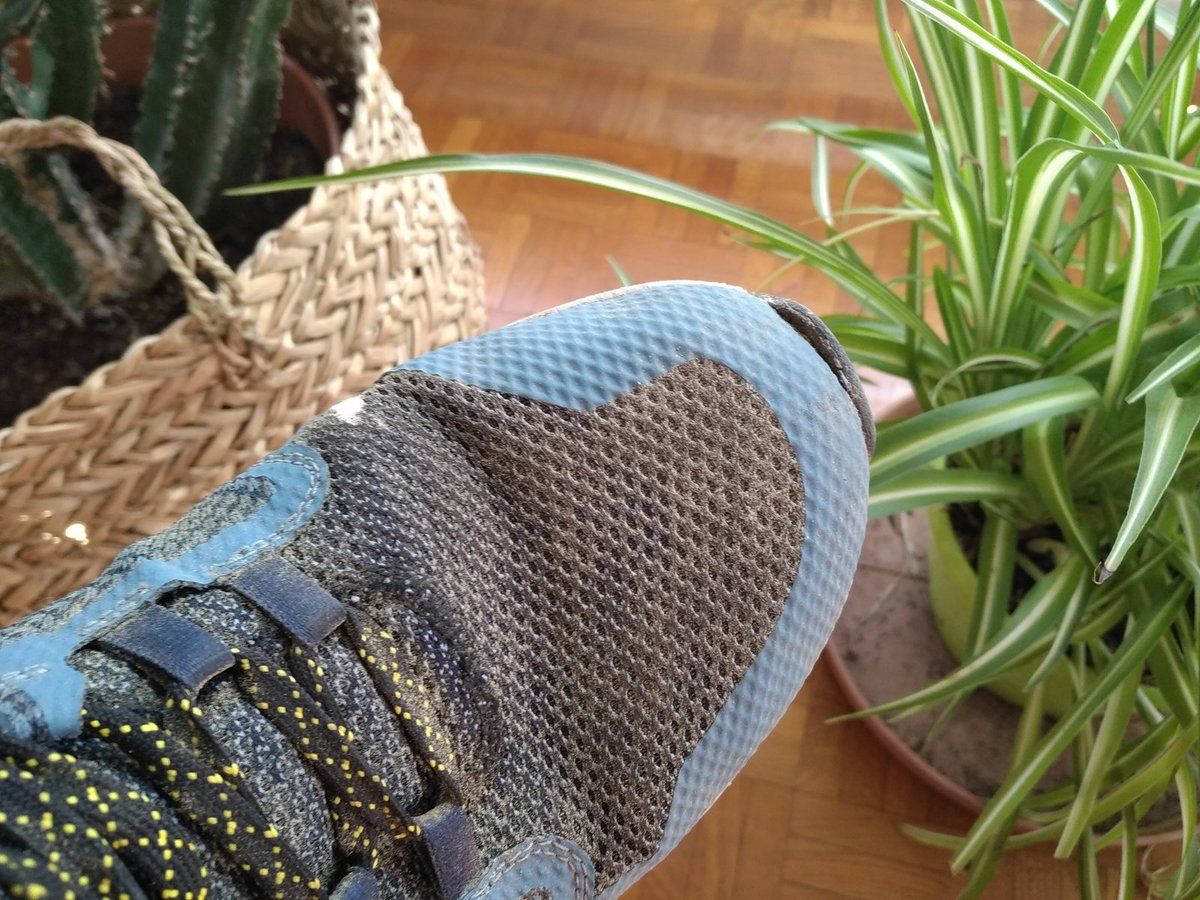 skechers trail prix