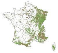 forêts publiques, parcelles forestières, carte france des forêts