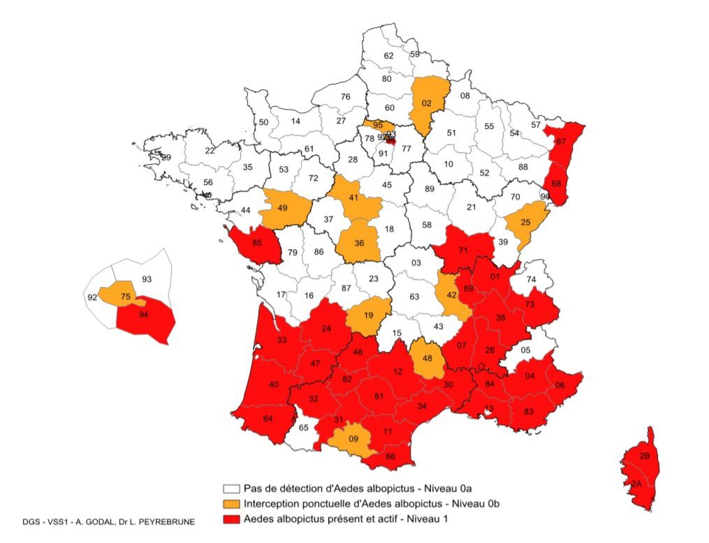 Carte de France du moustique-tigre