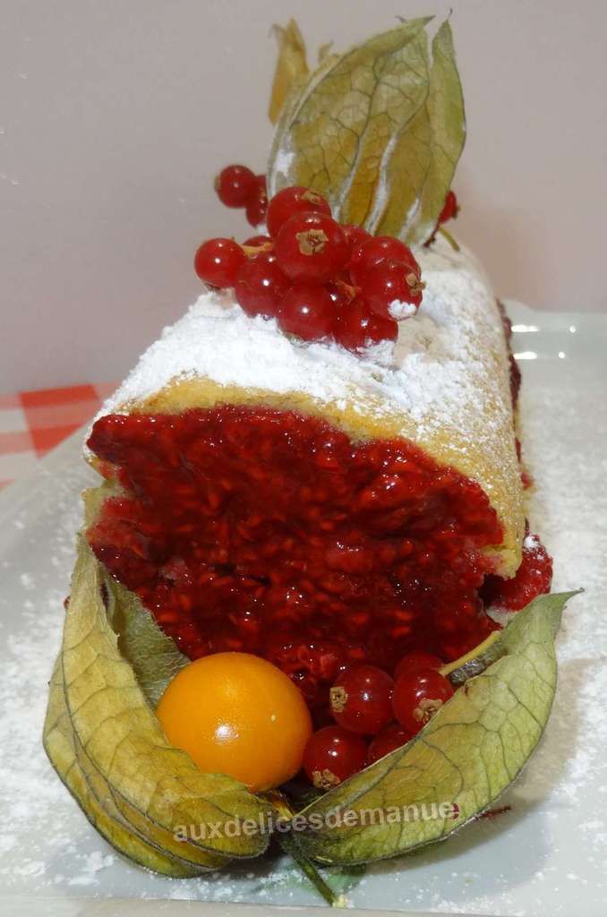 bûche noix de coco et framboises - bûche noix de coco - bûche framboises - bûche - sauce chocolat - framboises - bûche