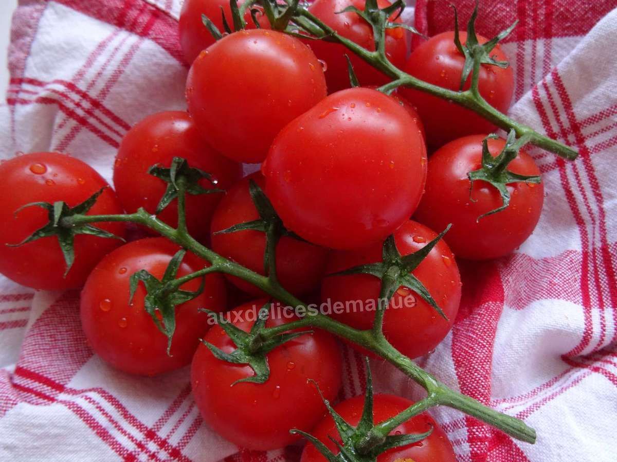 tomates, recettes