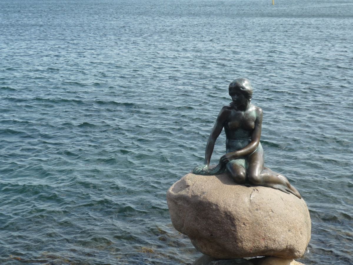 714 - JOURNAL SANS FILET (nouveau journal tressé), 6