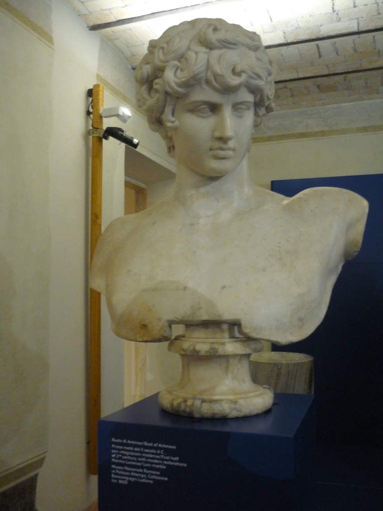 Buste d'Antinoüs, 1re moitié du IIe siècle