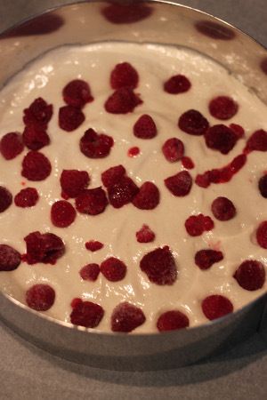 Entremets Fruits rouges et Mangue