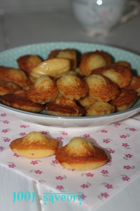 madeleines de Philippe Conticini