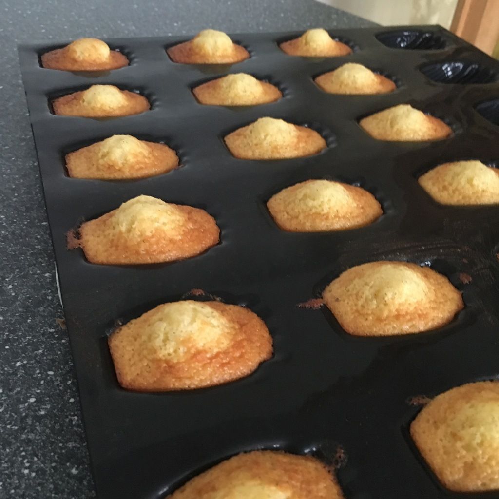 madeleines de Philippe Conticini