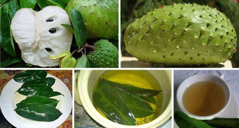 Image search result for "Soursop leaves"