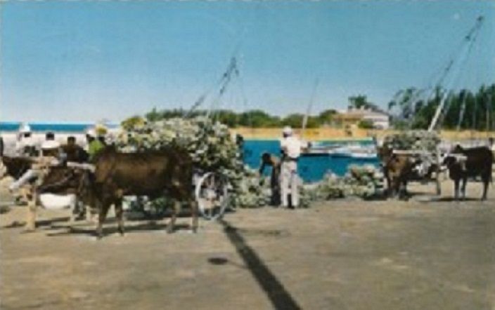 Majunga, c'était hier