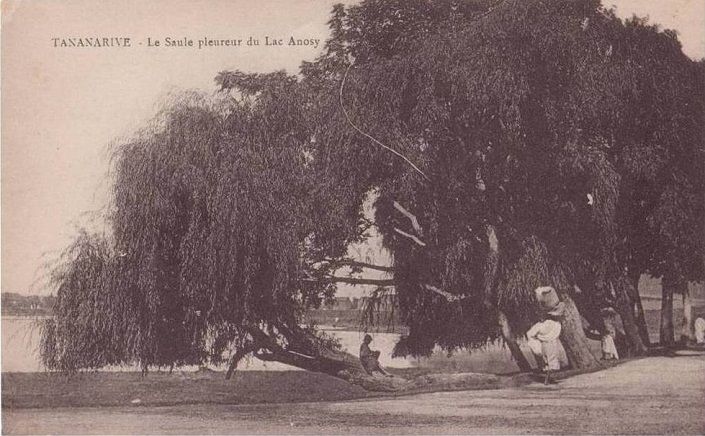 Le lac Anosy, c'était hier