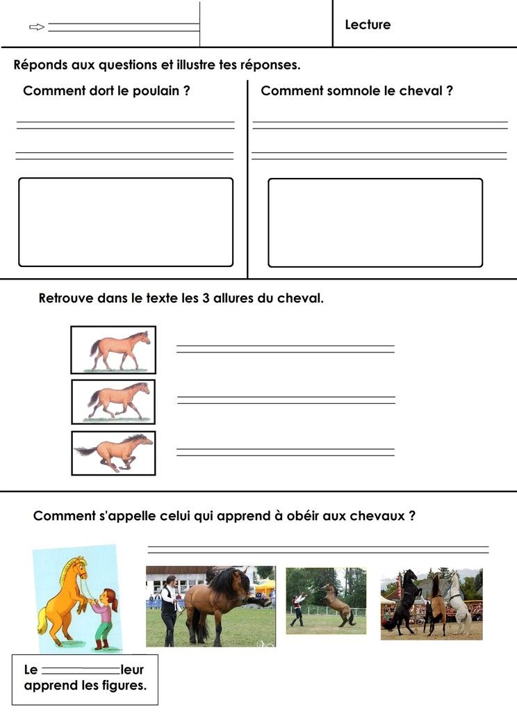 Langage écrit CP, chevaux et poneys pages 15 à 18 texte avec bas des lettres effacé. école Langage écrit CP, chevaux et poneys pages 15 à 18 texte avec bas des lettres effacé. école