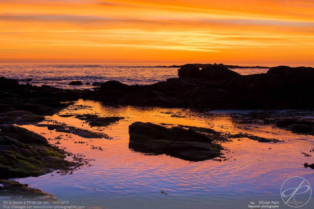 Les photos du jour, 02/06/2015 : Reportages de paysages entre la Baule et le Croisic 