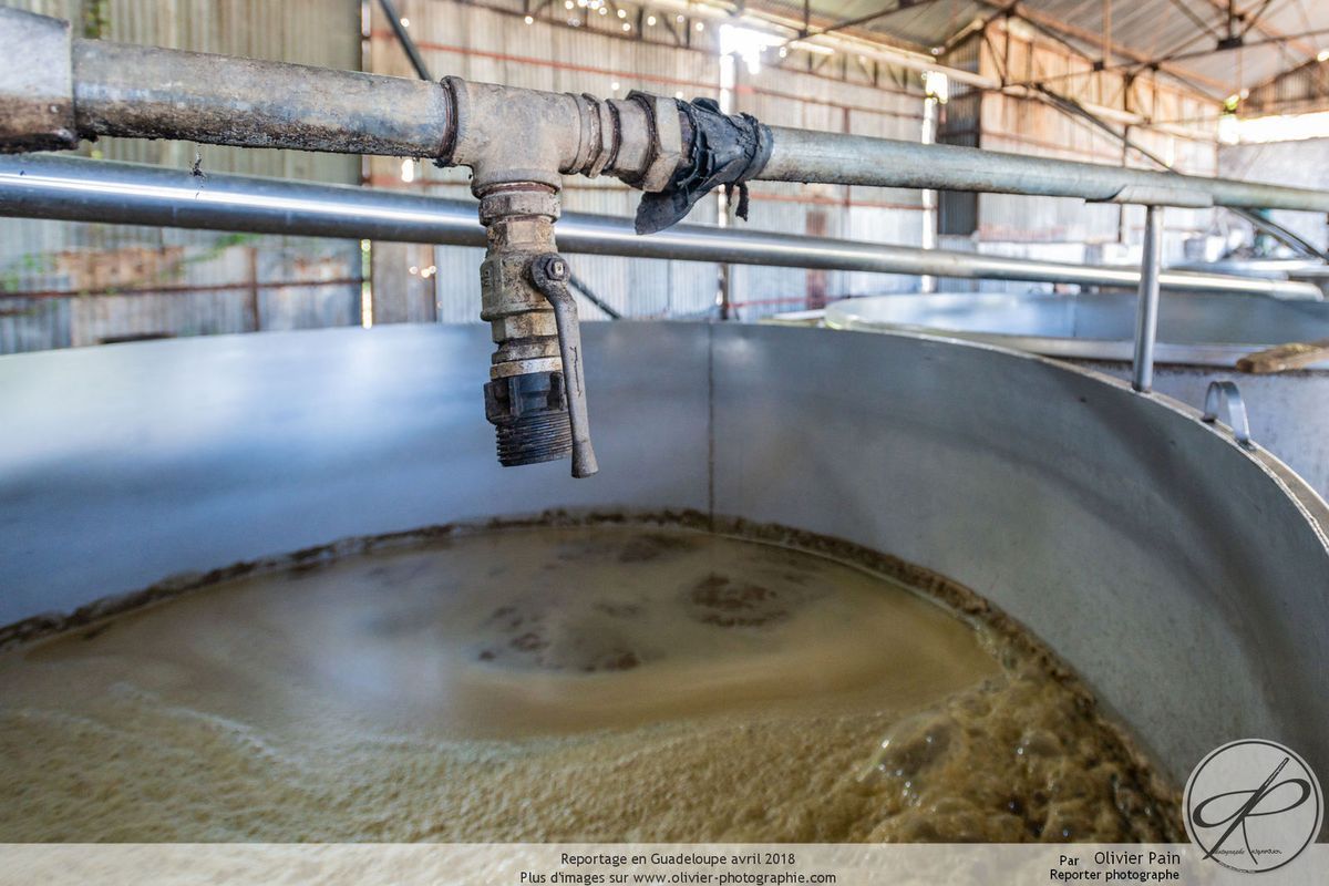 Reportage à la distillerie Longueteau