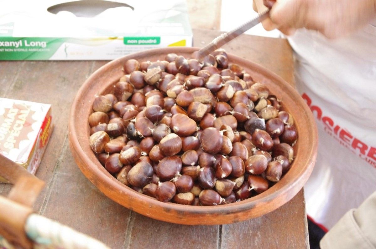 verger potirons           Bonjour,   nous avons eu du beau temps pour le repas des adhérents, qui sont venus très nombreux déguster notre excellente soupe au potiron et partager les petits plats qu'ils avaient confectionnés, ci jointes quelques photos de cette bonne journée au verger.