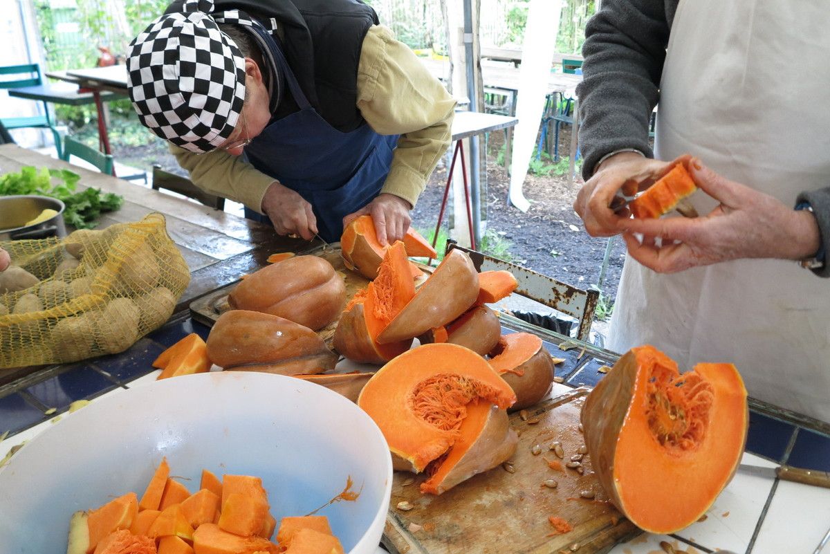 verger potirons           Bonjour,   nous avons eu du beau temps pour le repas des adhérents, qui sont venus très nombreux déguster notre excellente soupe au potiron et partager les petits plats qu'ils avaient confectionnés, ci jointes quelques photos de cette bonne journée au verger.