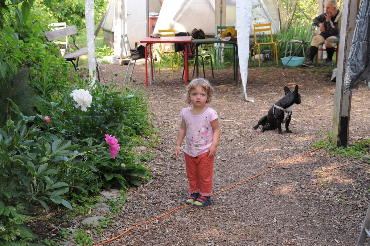 Vous êtes les bienvenus le 26 et 27 mai au verger ! ambiance guinguette !Restauration cuisine maison et vente de confitures ,ateliers apiculture ,permaculture ,arbres fruitiers,compostage etc ...