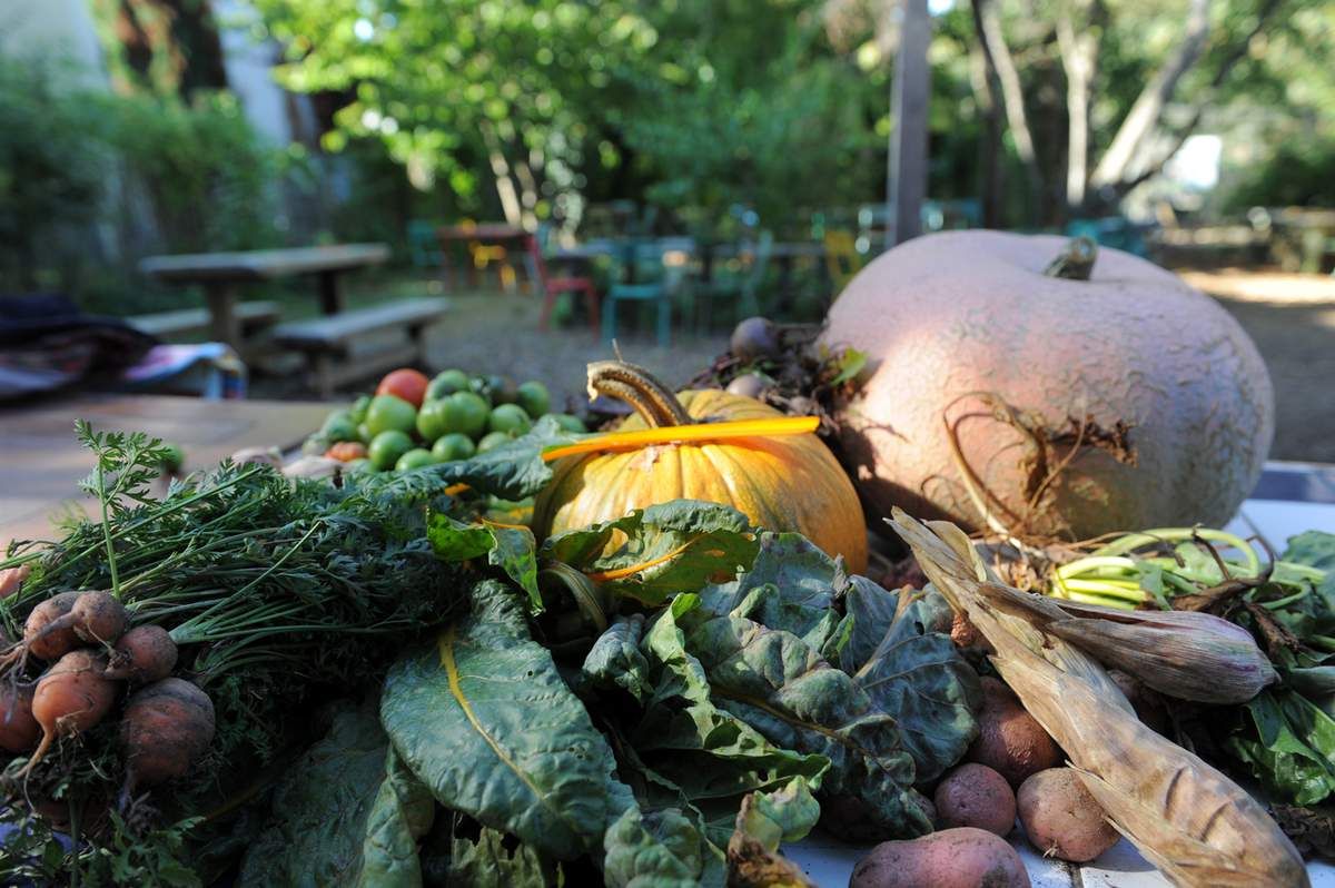 quelques légumes du jardin pour la soupe !!