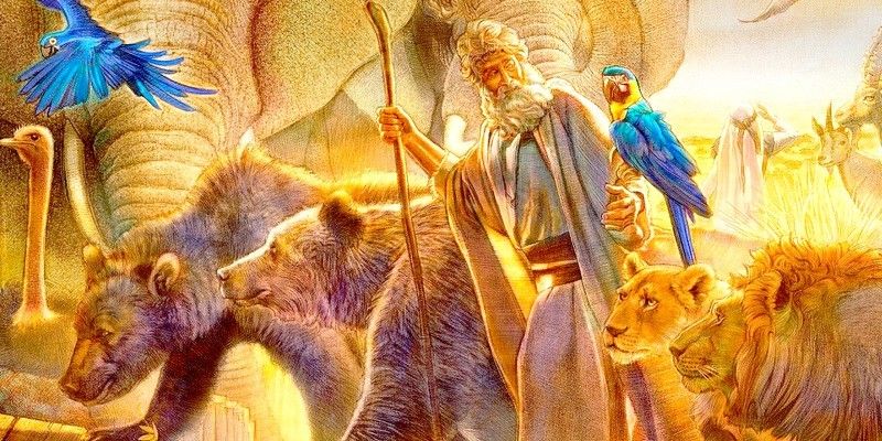 Noe Et La Nouvelle Generation Des Tresors Caches Dans Le Sable