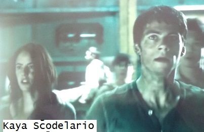 LE LABYRINTHE : LE REMEDE MORTEL