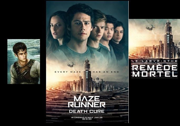 LE LABYRINTHE : LE REMEDE MORTEL