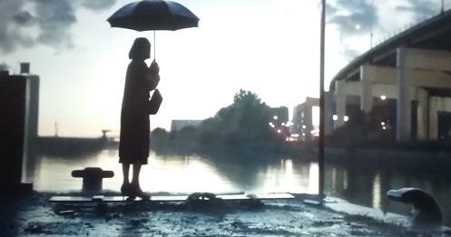 Sally Hawkins